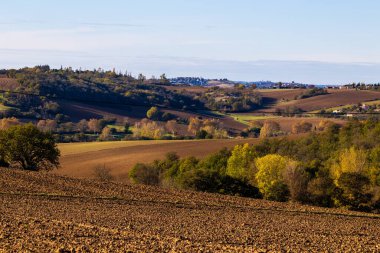 Sonbaharda Gardouch, Lauragais 'de yeni sürülmüş tarlalar, çitler ve ormanlarla kaplı yuvarlanan tepeler.