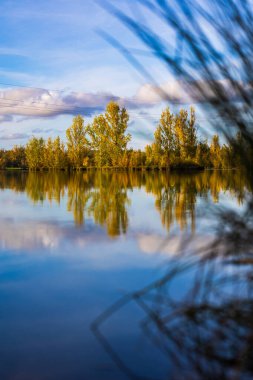 Uzun vadede Sabatouse Gölü 'nün sakin sularındaki sonbahar ağaçlarının yansımaları.
