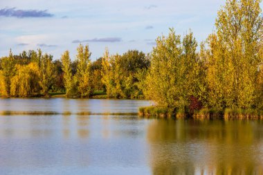 Sonbaharda Sabatouse Gölü 'nün etrafındaki çimler ve bankalar Longages' da.