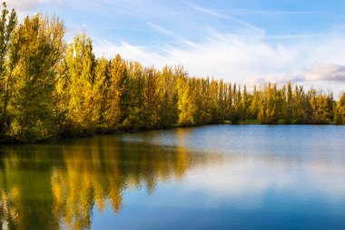 Sonbaharda Sabatouse Gölü 'nün etrafındaki çimler ve bankalar Longages' da.