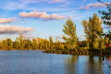 Sonbaharda Sabatouse Gölü 'nün etrafındaki çimler ve bankalar Longages' da.