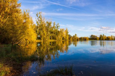 Sonbaharda Sabatouse Gölü 'nün etrafındaki çimler ve bankalar Longages' da.