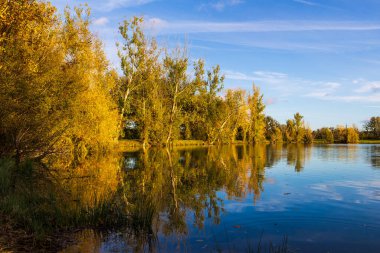 Sonbaharda Sabatouse Gölü 'nün etrafındaki çimler ve bankalar Longages' da.