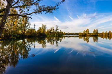 Uzun vadede Sabatouse Gölü 'nün sakin sularındaki sonbahar ağaçlarının yansımaları.