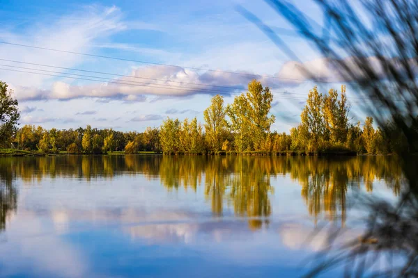 Uzun vadede Sabatouse Gölü 'nün sakin sularındaki sonbahar ağaçlarının yansımaları.