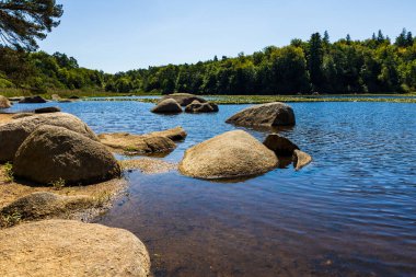 Sidobre 'deki Merle Gölü' nün sularından çıkan granit kayalar kısmen nilüferlerle kaplı.