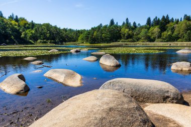 Sidobre 'deki Merle Gölü' nün sularından çıkan granit kayalar kısmen nilüferlerle kaplı.