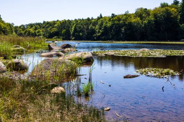 Sidobre 'deki Merle Gölü' nün sularından çıkan granit kayalar kısmen nilüferlerle kaplı.