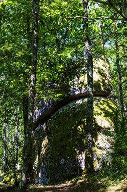 Sidobre 'deki Roc de Peyremourou yakınlarındaki çalılıklarda dengelenmiş granit kayalar