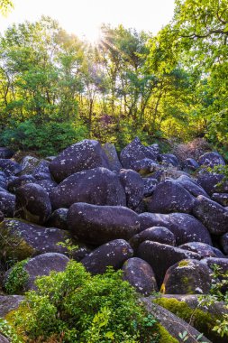 Sidobre 'deki Kaos de la Roquette, erozyonun şekillendirdiği granit kaya yığınları.