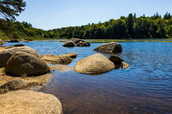 Sidobre 'deki Merle Gölü' nün sularından çıkan granit kayalar kısmen nilüferlerle kaplı.