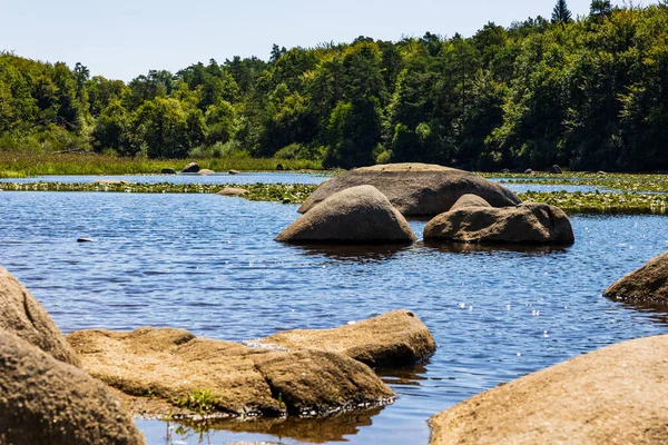 Sidobre 'deki Merle Gölü' nün sularından çıkan granit kayalar kısmen nilüferlerle kaplı.