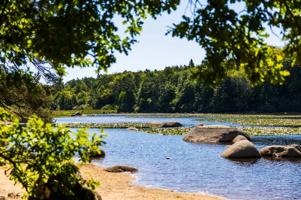 Sidobre 'deki Merle Gölü' nün sularından çıkan granit kayalar kısmen nilüferlerle kaplı.