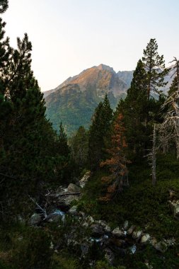Pic Mechant, 2944 m, Lakes Ordon ve Laquettes arasında, Aumar Geçidi 'ndeki çam ormanından doğan güneş tarafından aydınlatılmış.