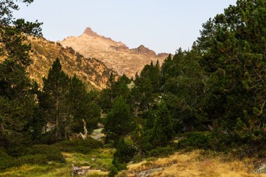 Pic de Neouvielle, 3091 m, Pic de Neouvielle, Pic de Neouvielle, Pic de Neouvielle, Pic de Neouvielle, Pic de Neouvielle.