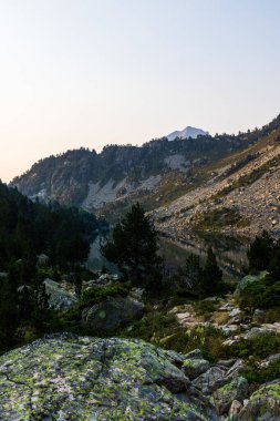 Etrafı çam ağaçlarıyla çevrili göller.