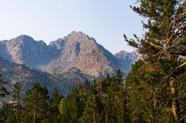 Pic Mechant, 2944 m, Aumar Geçidi 'ndeki çam ormanından, Ordon Gölü ve Laquettes arasında görüldü.