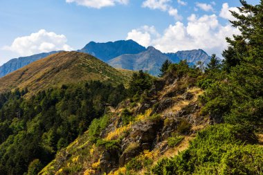 Arbizon Massif, Col d Aspin 'ten görüldü, Hautes-Pyrenees' in yeşil vadileri ve orman yamaçlarıyla çevrili.
