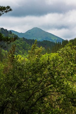 Verdant Inland Hills 'in panoramik manzarası Andutz Piramit şekilli Tepesi' nin hakimiyetinde.