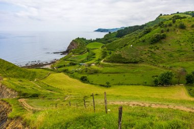 Deba ve Zumaia arasındaki Bask sineğinin sahil kayalıklarının panoramik görüntüsü