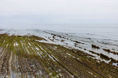 Bask sineklerinin Dikey Kaya Katmanları Denize dalıyor