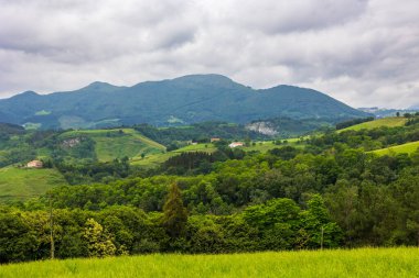 Deba ve Zumaia arasındaki Verdant Hills 'in panoramik görüntüsü