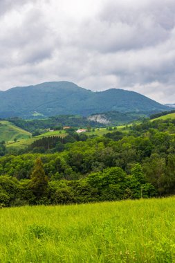 Deba ve Zumaia arasındaki Verdant Hills 'in panoramik görüntüsü