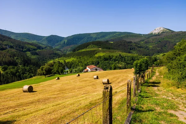 Aizkorri-Aratz Doğal Parkı 'ndaki Elgea Massif Dağlarının Panoramik Manzarası
