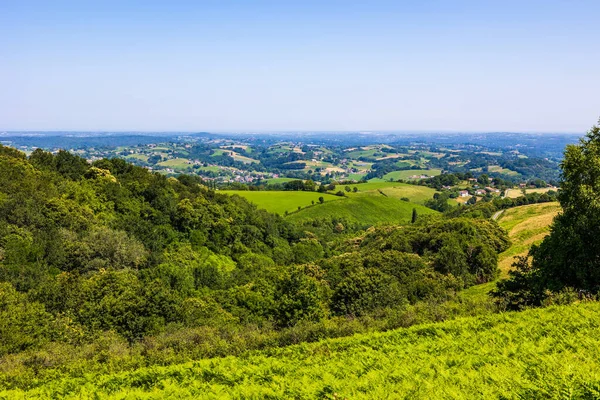 Ainhoa çevresindeki Bask Tepelerinin Panoramik Manzarası