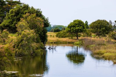 L ile-d Olonne 'un terk edilmiş tuz bataklıklarının manzarası.