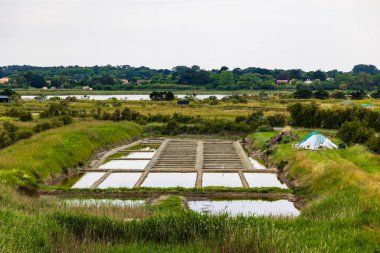 Vendedeki L-d Olonne 'un tuzlu bataklıkları