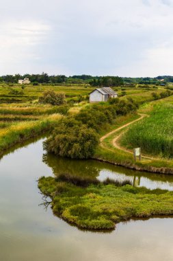 L ile-d Olonne 'un terk edilmiş tuz bataklıklarının manzarası.