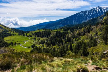 Baharda Pla d Artounant platosunda dolaşan sanatsal akarsu