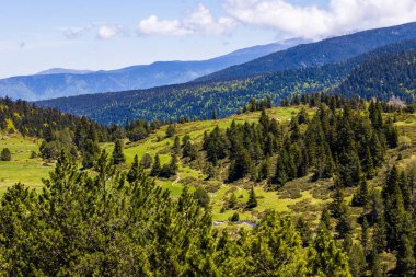 Baharda Pla d Artounant platosunda dolaşan sanatsal akarsu