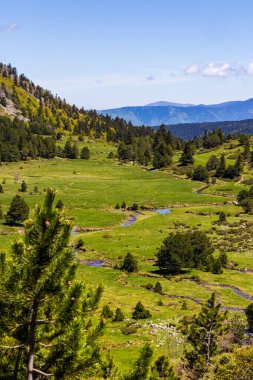 Baharda Pla d Artounant platosunda dolaşan sanatsal akarsu