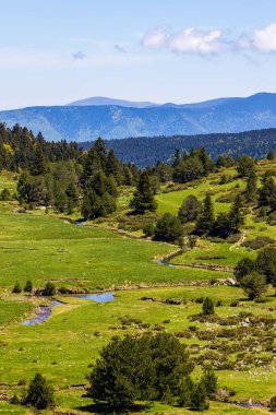 Baharda Pla d Artounant platosunda dolaşan sanatsal akarsu