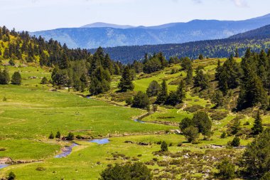 Baharda Pla d Artounant platosunda dolaşan sanatsal akarsu