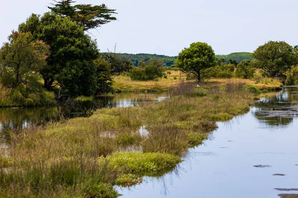 L ile-d Olonne 'un terk edilmiş tuz bataklıklarının manzarası.