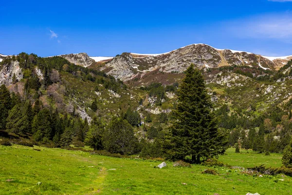 Donezan Massif Panoraması Pla d Artounant Platosu 'nun son bahar karıyla