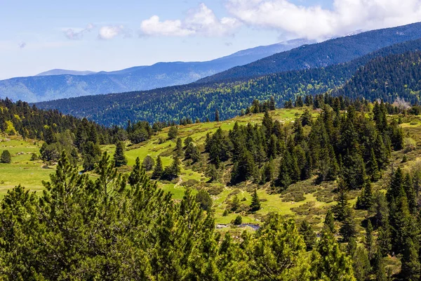 Baharda Pla d Artounant platosunda dolaşan sanatsal akarsu