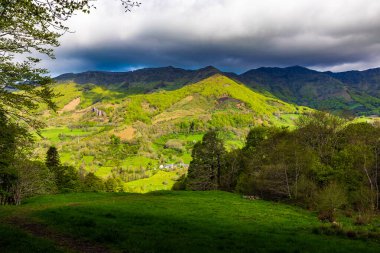 Jordanne Vadisi 'nin çevresindeki Cantal Dağları' nın Panorama 'sı Mandailles-Saint-Julien ormanından geçen bir yürüyüş patikasından.
