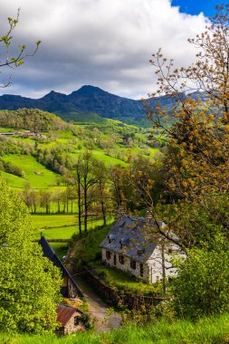 Jordanne Vadisi 'nin çevresindeki Cantal Dağları' nın Panorama 'sı Mandailles-Saint-Julien ormanından geçen bir yürüyüş patikasından.