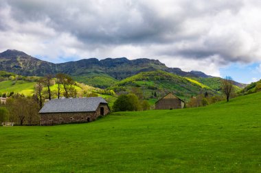 Jordanne Vadisi 'nin çevresindeki Cantal Dağları' nın Panorama 'sı Mandailles-Saint-Julien ormanından geçen bir yürüyüş patikasından.