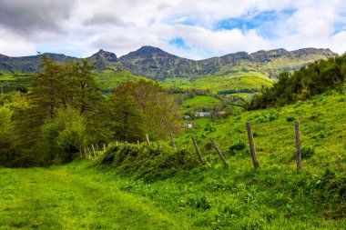 Cantal Dağları 'ndaki Puy Mary Zirvesi Mandailles-Saint-Julien Ormanı' ndaki yürüyüş patikasından