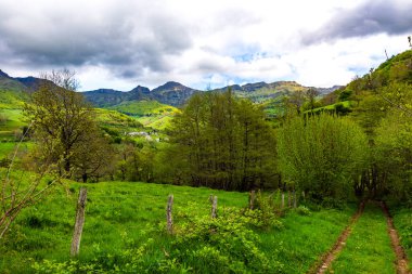 Cantal Dağları 'ndaki Puy Mary Zirvesi Mandailles-Saint-Julien Ormanı' ndaki yürüyüş patikasından