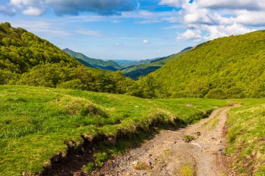 Rombieres Ormanı 'ndan Jordanne Vadisi, nehrin kaynağına yakın.