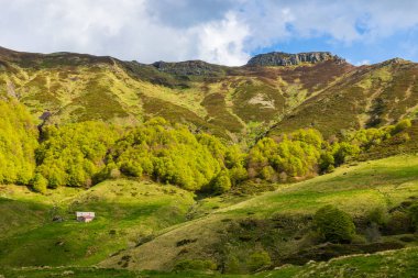 Puy de Peyre Arse where the Jordanne River has its source