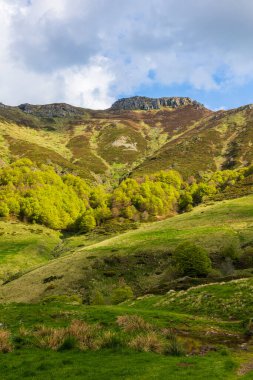 Puy de Peyre Arse where the Jordanne River has its source