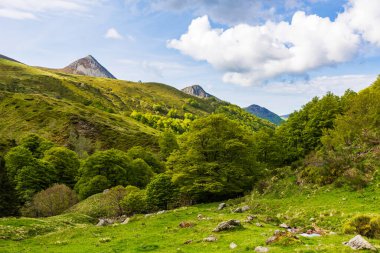 Rombieres Ormanı 'ndan Jordanne Vadisi, nehrin kaynağına yakın.
