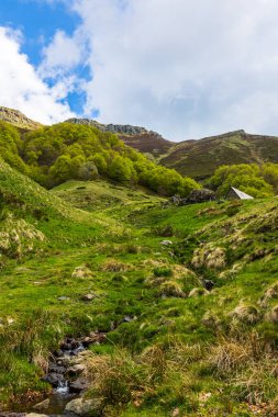 Kaynağının yakınında Jordanne vadisini oluşturan akarsu.